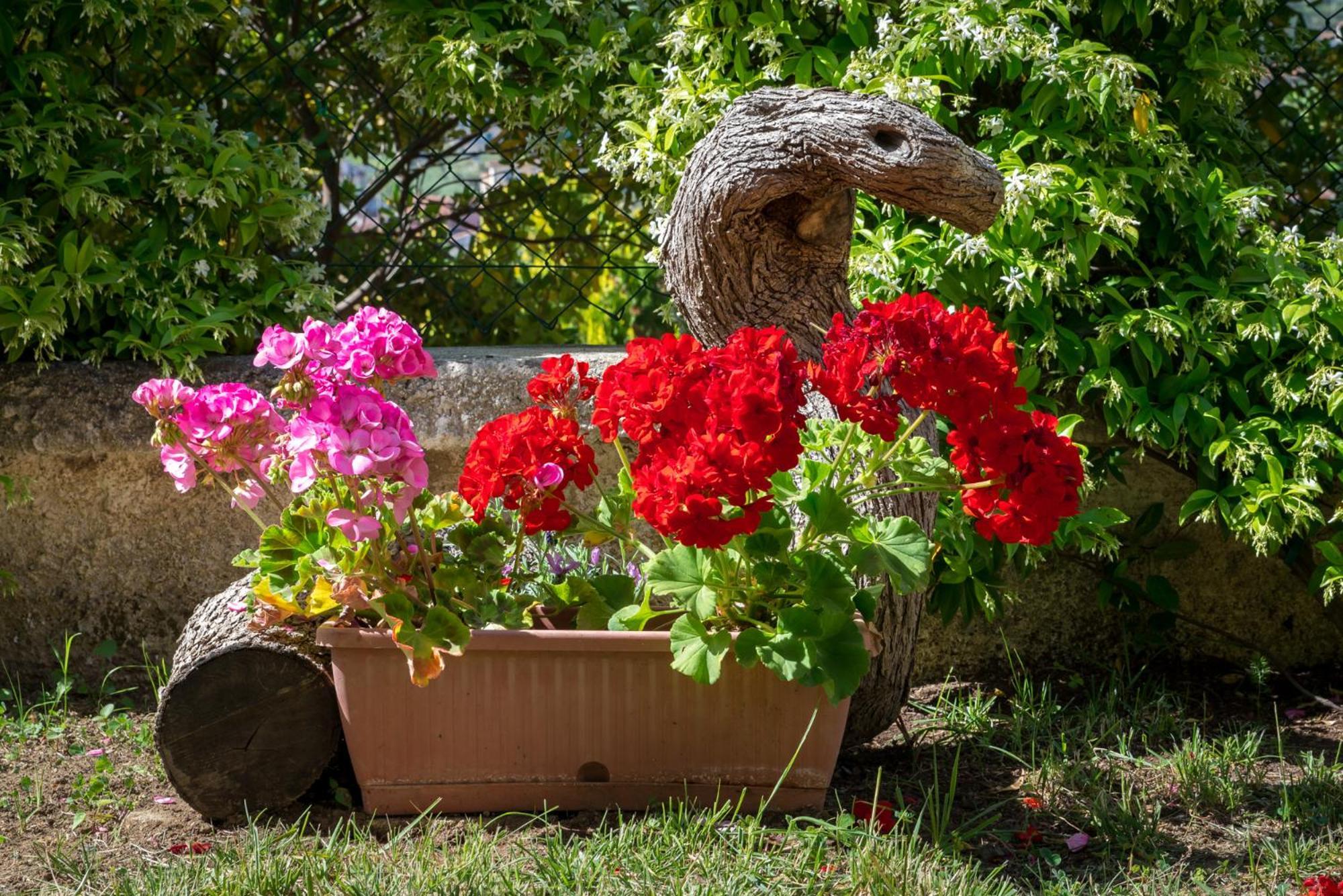 أغروبولي B&B Hibiscus المظهر الخارجي الصورة